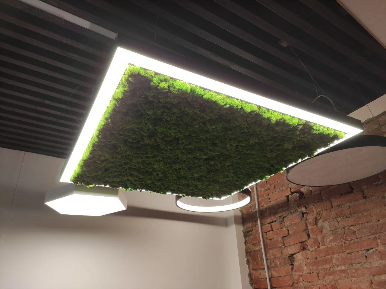SMD-Line-4K Moss 40W 540mm, фото 2