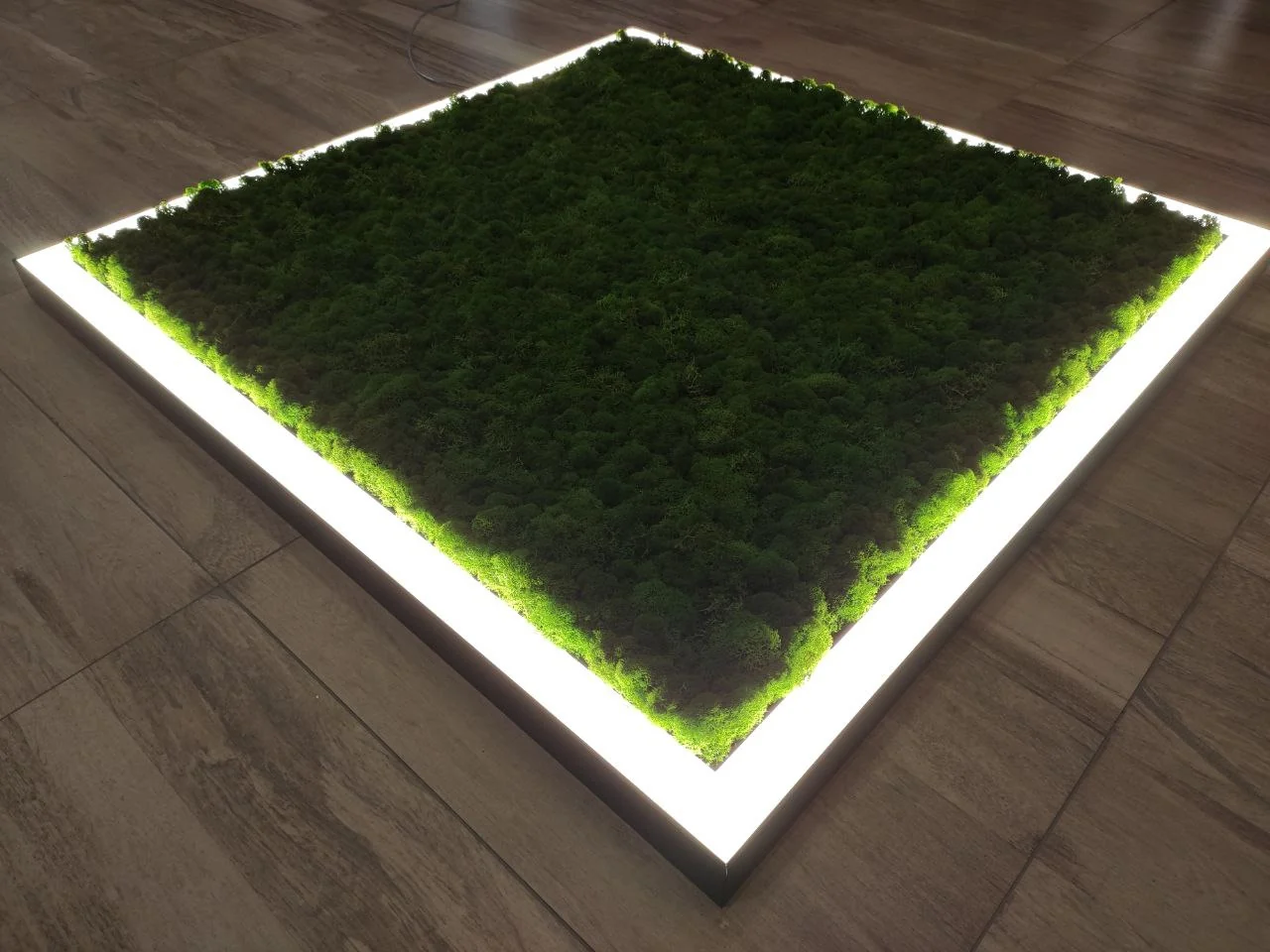 SMD-Line-4K Moss 40W 540mm, фото 3