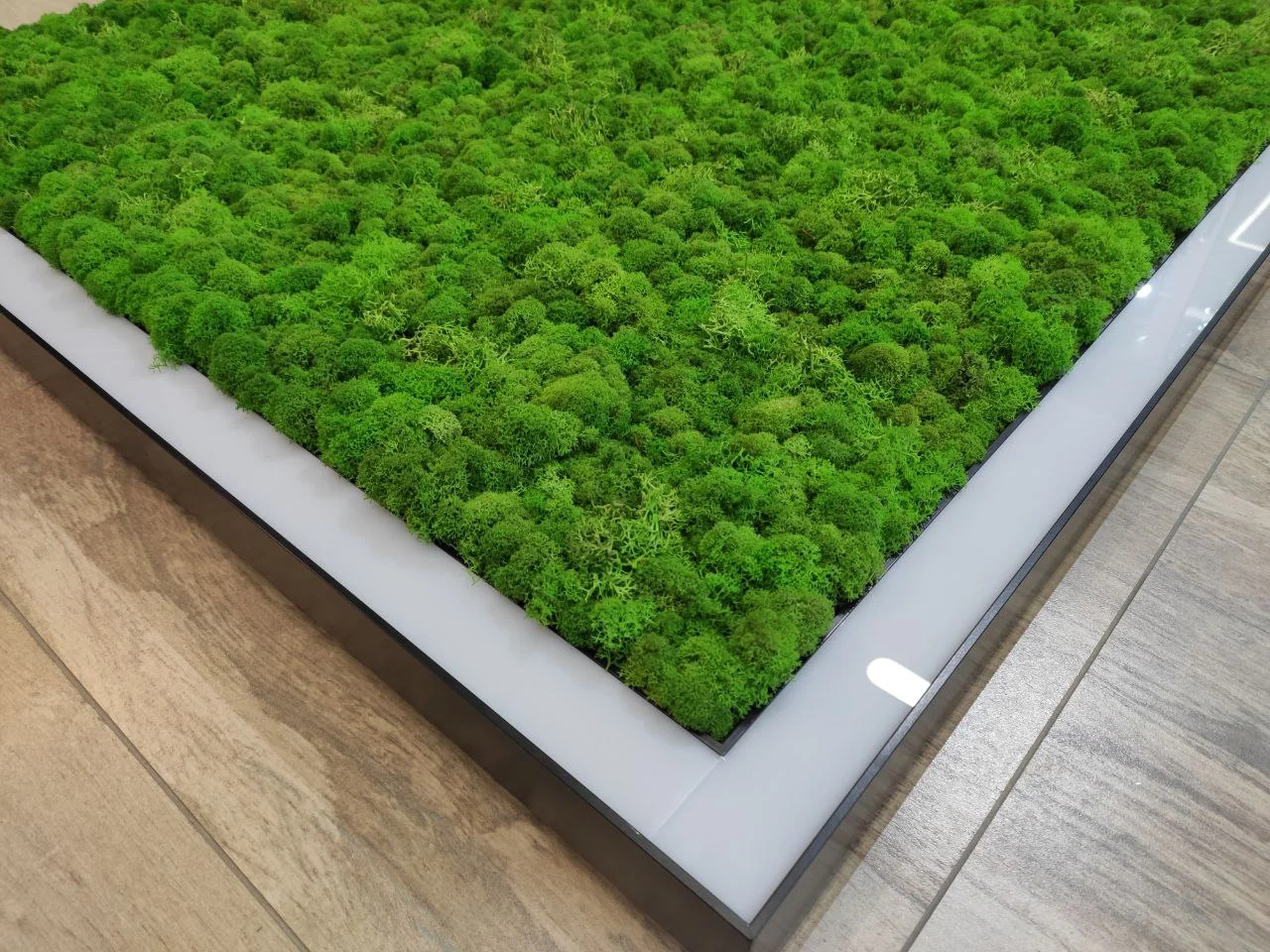 SMD-Line-4K Moss 40W 540mm, фото 4