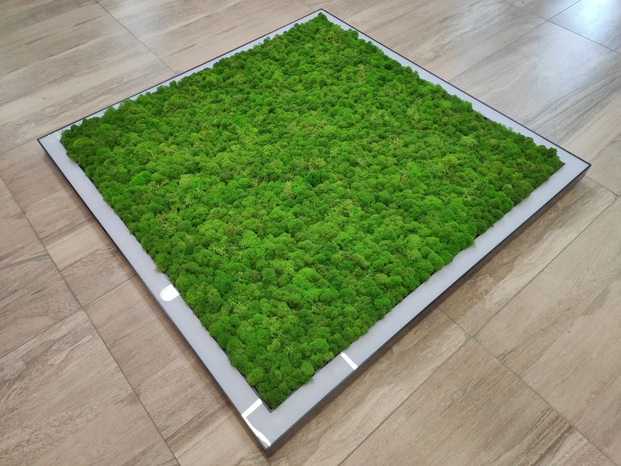 Светильники SMD-Line-4K Moss в интерьере