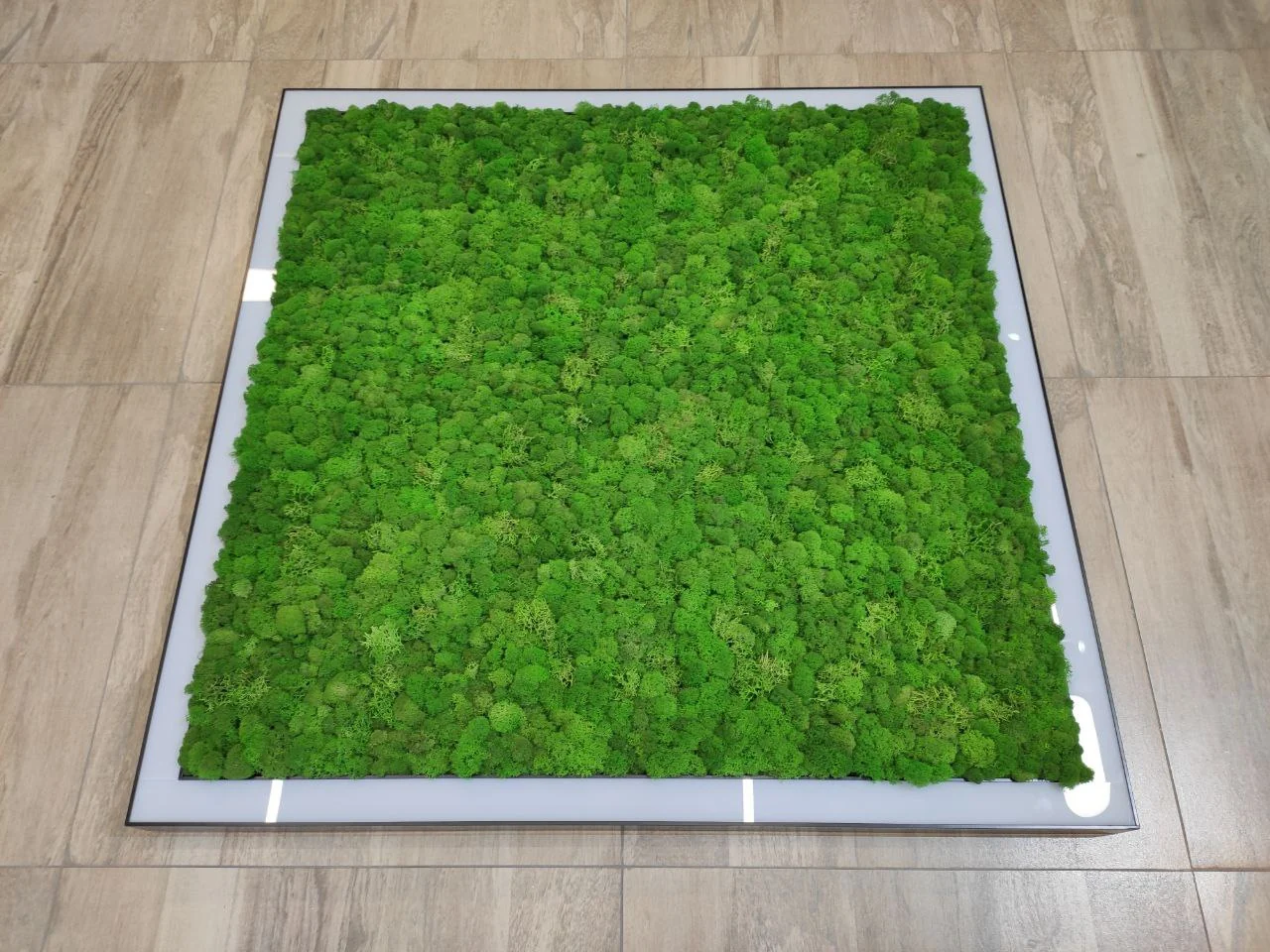 Светильники SMD-Line-4K Moss в интерьере